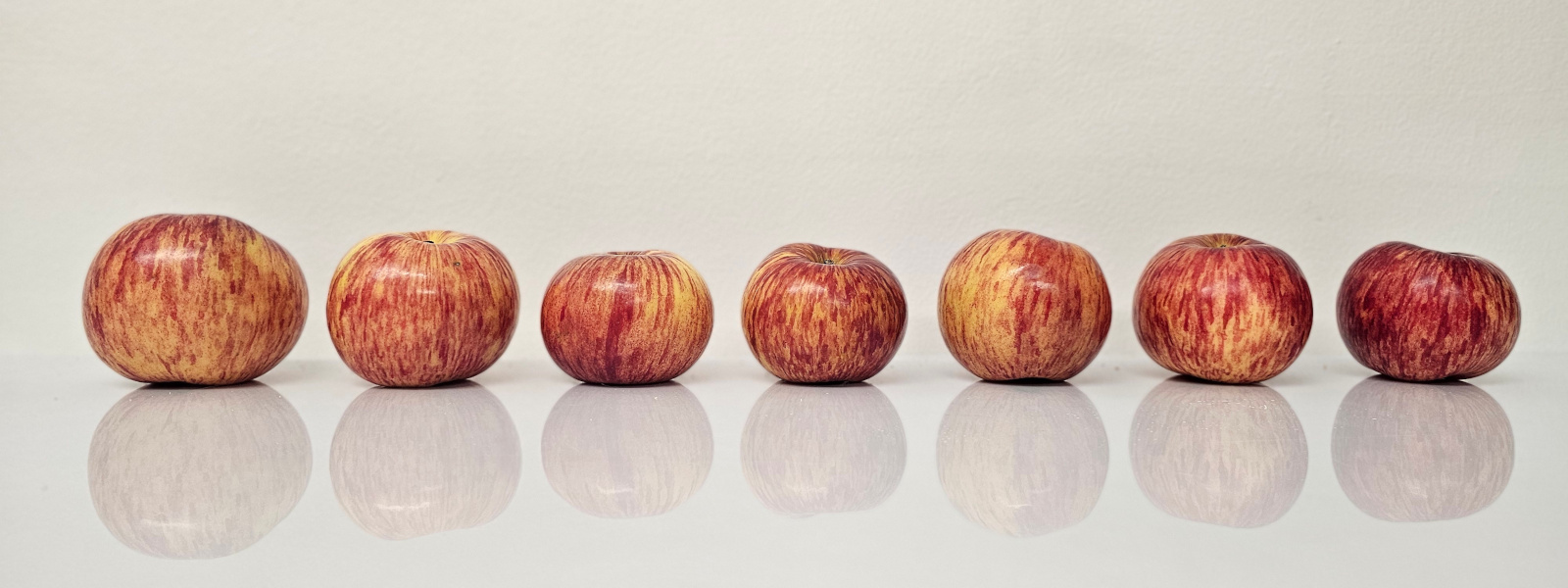 Äpfel der alten Sorte Gravensteiner
